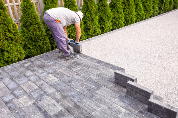 Best Driveway Paving Contractor  in Elleale, ND